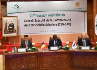 21e session ordinaire de la CEN-SAD: Les experts en travaux préparatoires