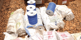 Lutte contre la fraude : Un arsenal d’explosifs saisi