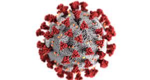 Covid-19 : Bientôt 6 millions de victimes