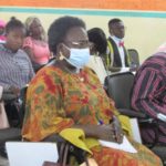 Santé de la reproduction : bilan satisfaisant pour « Burkinbiwili »