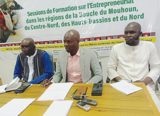 Création d’entreprise : 400 femmes se forment à Ouahigouya