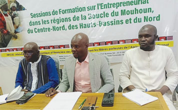 Création d’entreprise : 400 femmes se forment à Ouahigouya