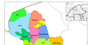 Burkina/Yatenga : Le commissariat de Namissiguima attaqué par des hommes armés (AIB)