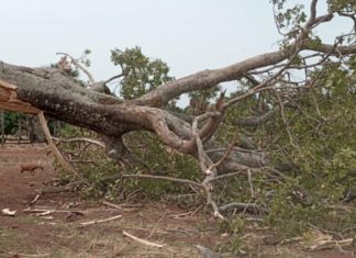 COMOE: Une pluie cause des dégâts à Fabédougou