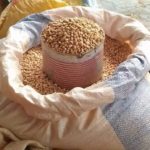 Flambée des prix dans la Komondjari : Plus de 150% de hausse des prix des céréales