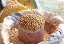 Flambée des prix dans la Komondjari : Plus de 150% de hausse des prix des céréales