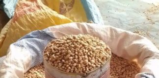 Flambée des prix dans la Komondjari : Plus de 150% de hausse des prix des céréales