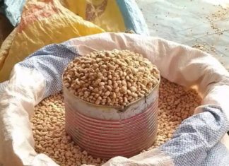 Flambée des prix dans la Komondjari : Plus de 150% de hausse des prix des céréales