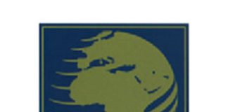 Situation sécuritaire : La SOMITA arrête ses activités minières au Burkina Faso