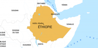 Ethiopie : Des ex-militaires veulent aller combattre pour la Russie