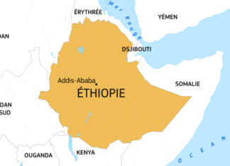 Ethiopie : Des ex-militaires veulent aller combattre pour la Russie