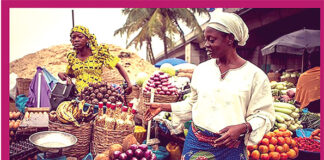 Sécurité alimentaire : l’Afrique veut miser sur l’agro-écologie