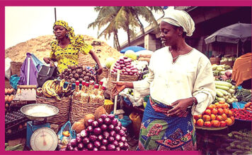 Sécurité alimentaire : l’Afrique veut miser sur l’agro-écologie
