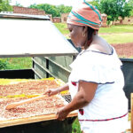 Energie solaire et production-transformation des produits locaux : 20 coopératives du Zondoma, du Bam et du Sanmatenga améliorent leurs conditions de travail
