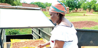 Energie solaire et production-transformation des produits locaux : 20 coopératives du Zondoma, du Bam et du Sanmatenga améliorent leurs conditions de travail