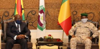 Crise Cédéao-Mali : Le Togo sollicité en médiateur