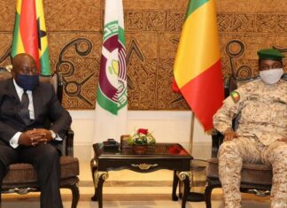 Crise Cédéao-Mali : Le Togo sollicité en médiateur
