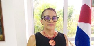 Journée de l’Afrique :« L’Afrique, une priorité dans la politique extérieure de Cuba », Nadieska Navarro, Ambassadrice