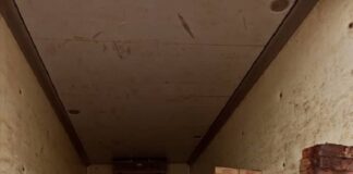 Lutte contre la fraude : 111 tonnes de céréales et 22950 pagnes Faso Dan Fani saisis