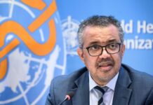 OMS : L’Ethiopien Tedros Adhanom Ghebreyesus reconduit à la tête de l’organisation
