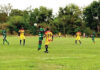 Tournoi de l’UFOA-B U17/Ghana 2022 : objectif, CAN 2023 pour les Etalons cadets