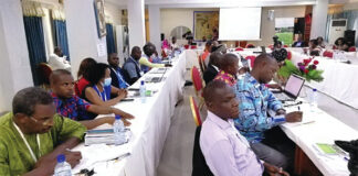 Atelier régional sur la gestion durable des forêts en Afrique : un bilan largement positif, selon les organisateurs