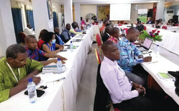 Atelier régional sur la gestion durable des forêts en Afrique : un bilan largement positif, selon les organisateurs
