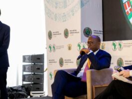 Economie circulaire en Afrique : la BAD lance un fonds fiduciaire