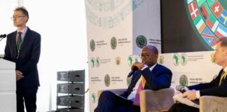 Economie circulaire en Afrique : la BAD lance un fonds fiduciaire