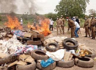 Lutte contre la drogue: 2,70 tonnes de médicaments prohibés, 14,18 tonnes de cannabis incinérées