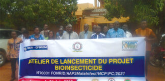 Lutte contre le paludisme et la dengue : bientôt un bio-insecticide