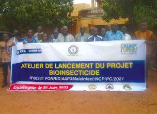 Lutte contre le paludisme et la dengue : bientôt un bio-insecticide