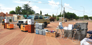 Lutte antiacridienne au Burkina : la FAO en renfort avec des équipements