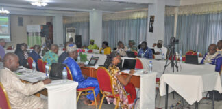 Gestion des forêts et changement climatique en Afrique : Les défis et opportunités en débat à Ouagadougou