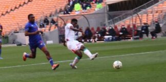 Etalons : Ce talent si précieux et si rare