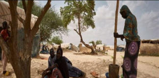 Journée mondiale des réfugiés : les organisations humanitaires alertent sur une baisse des financements au plan mondial