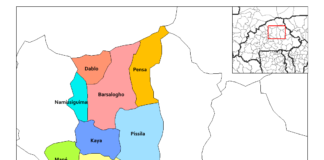 Kaya : Pour une histoire de moto mise en fourrière, des militaires tabassent deux policiers municipaux