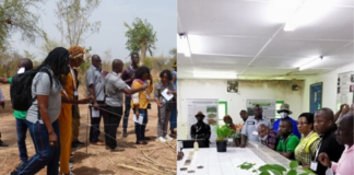 Gestion durable des terres et des semences forestières : des experts africains saluent l’expérience burkinabè