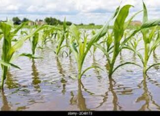 Actu vert : La gestion des risques agricoles, un nouveau paradigme à intégrer !