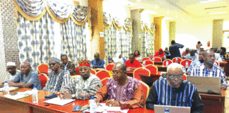 Régimes fonciers au Burkina Faso: des directives pour une gouvernance efficace