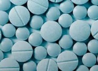 Ministère en charge de la recherche : le décret portant création de technopole pharmaceutique de Kokologo adopté