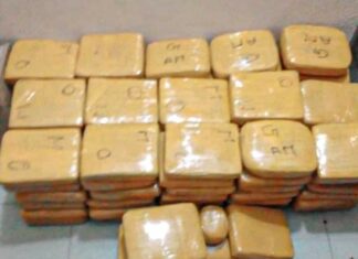 Centre-Est : La Police nationale a saisi 95 plaquettes de cannabis à Bittou.