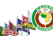 Transition malienne : la Cédéao « regrette » les 24 mois fixés par la junte militaire