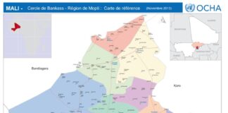 Massacre de 132 civils au Mali : la CEDEAO condamne