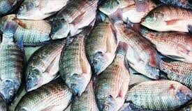 Axe Dori-Sebba : Un véhicule et 50 cartons de poissons emportés