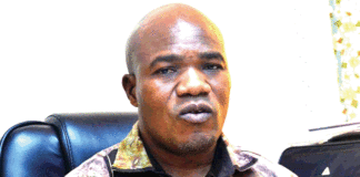 SNC 2022 : la 20e édition du 26 novembre au 3 décembre prochain