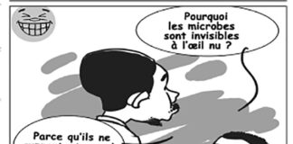Sourire du 8/07/2022