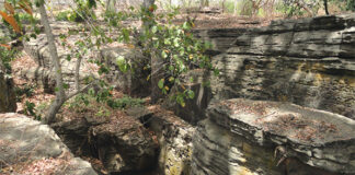 Cascades de Karfiguéla : la forte pression humaine menace la ressource en eau