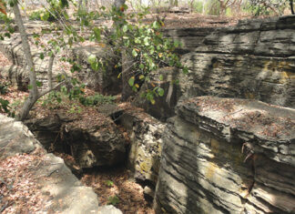 Cascades de Karfiguéla : la forte pression humaine menace la ressource en eau