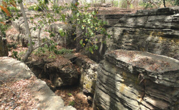 Cascades de Karfiguéla : la forte pression humaine menace la ressource en eau